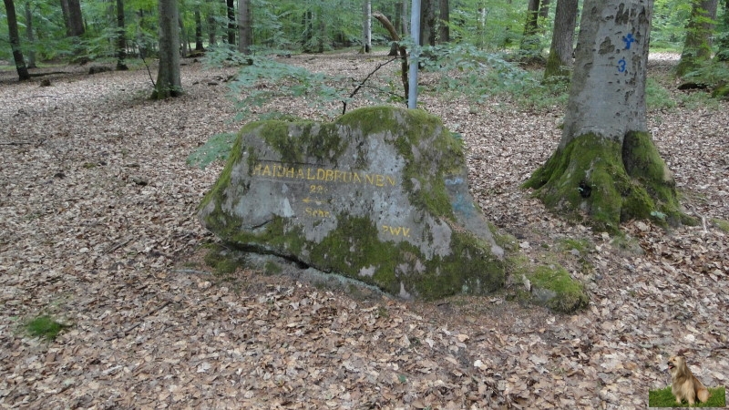 Ritterstein Nr. 108-4 Haidhaldbrunnen 220 Schr..JPG -  Ritterstein Nr.108  Haidhaldbrunnen 220 Schr.                               